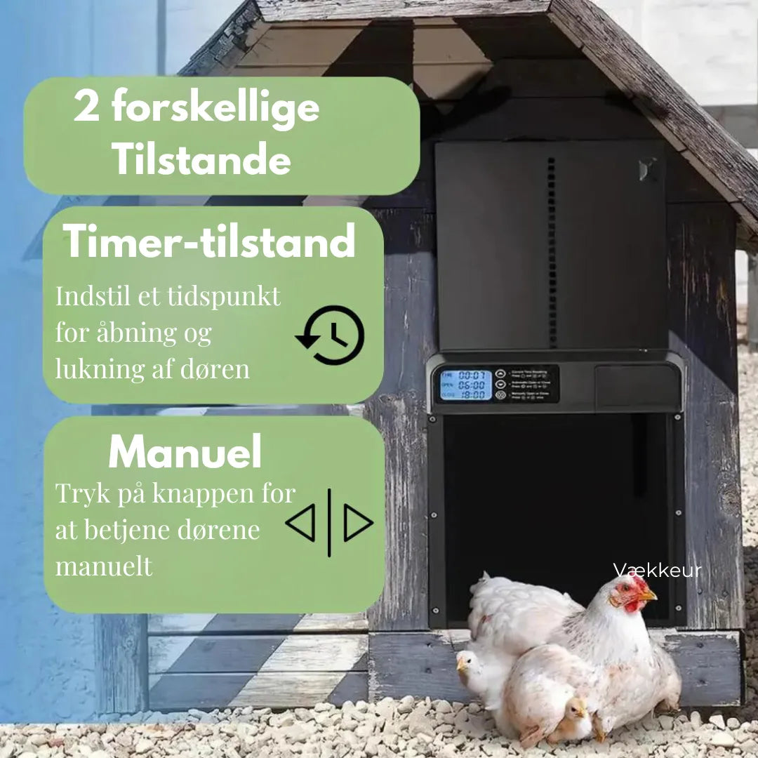 CluckGuard AutoDoor bild 3