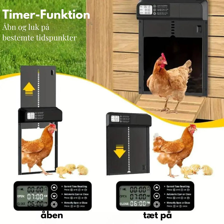 CluckGuard AutoDoor bild 4